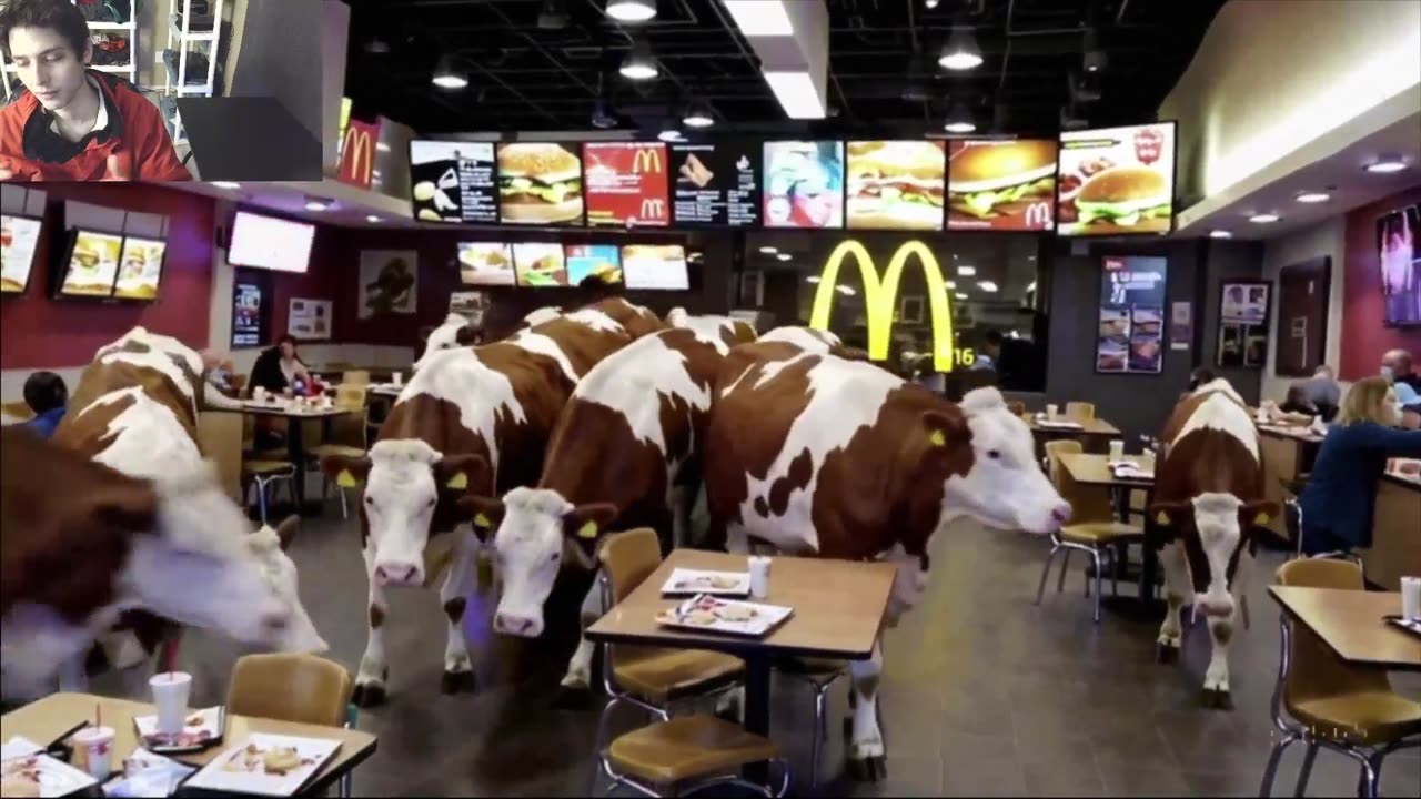 Outtake #1,037 Of Over 15 Sheep Roam Around A McDonald's Restaurant Fake Funny Parody Video
