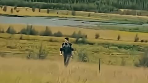 Share the beautiful recitation of Quran #surah #shorts