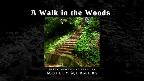 A Walk in the Woods | Relaxing Instrumental