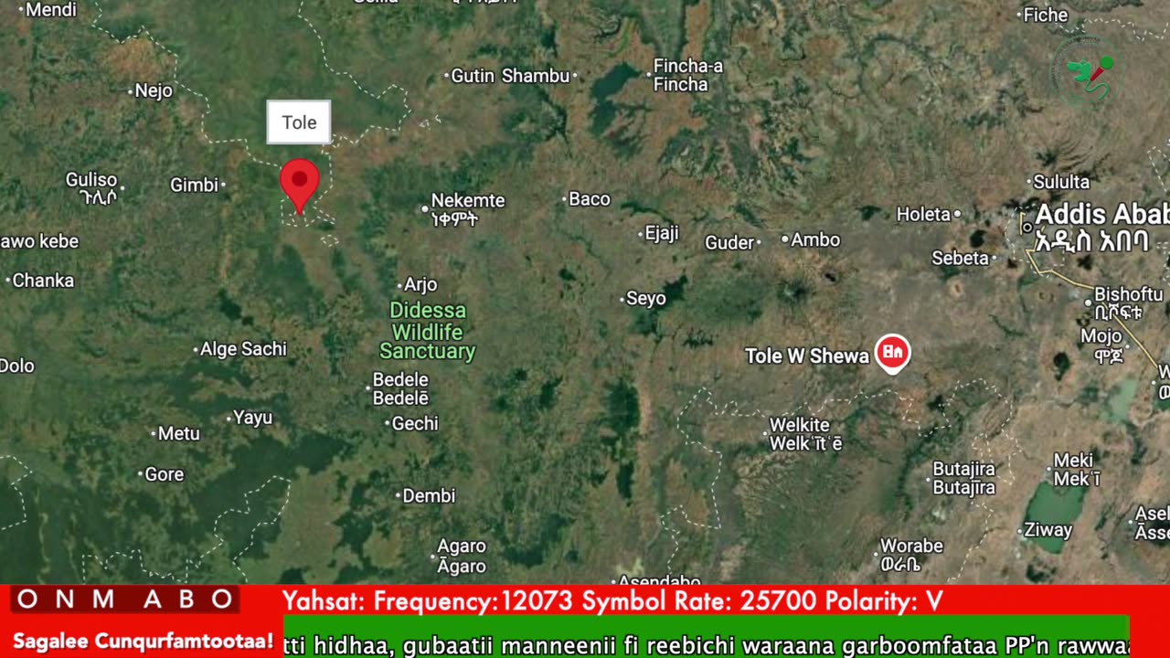 Oduu Ganama ONM-ABO Caamsaa 24-2025 itti dhiyaadhaa!
