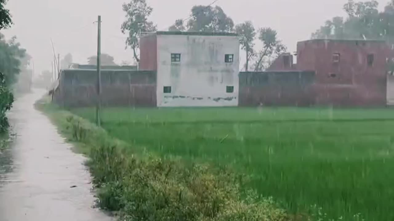 #Asali Sukun To Gaon Mein Hi #Hai 👌👌🫡🫡