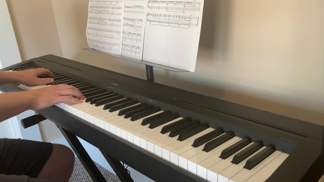 Elegy for the Arctic
