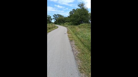 rat snake (sept 7, 25)