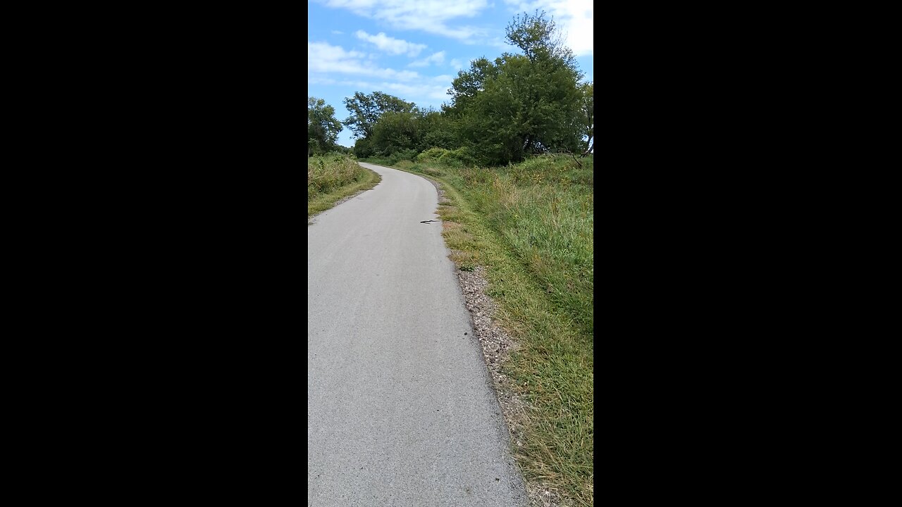 rat snake (sept 7, 25)