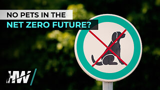NO PETS IN THE NET ZERO FUTURE?