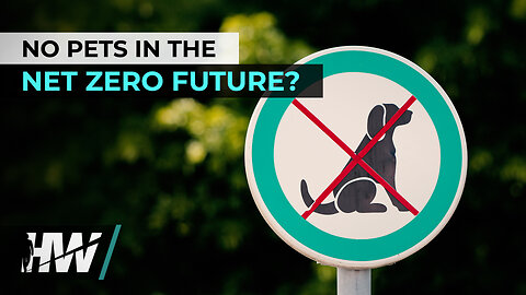 NO PETS IN THE NET ZERO FUTURE?