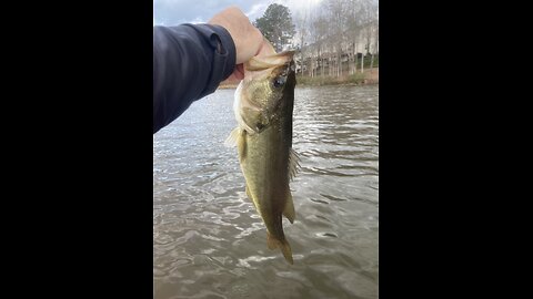 1 warm day in December, 2 bass!