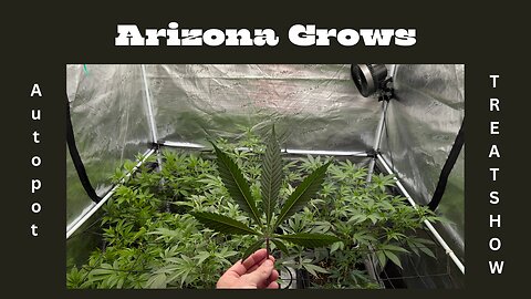 Autopot 3xl & Treat Show Update