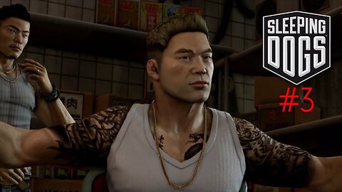 Sleeping dogs - Winston (3)