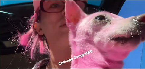 🛑 VP PART 1 YOGA BIKINI SHYT TALK & 💩 IN HER ROOM 🤢 11-8-25