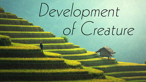 Development of Creature | Process of Evolution