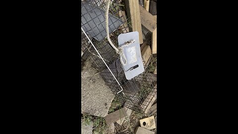 How To Handle Undesirables On The Farm