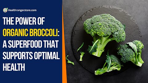 The power of Organic Broccoli: A superfood that supports optimal health