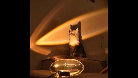 Sunset Projection Lamp, with Beautiful Light & Minimalist Design, for Bathroom, Photos & More