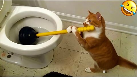 2025’s Funniest Dogs & Cats 😂 You Won’t Stop Laughing! | You Laugh You lose 😍😸😹 #Ep60