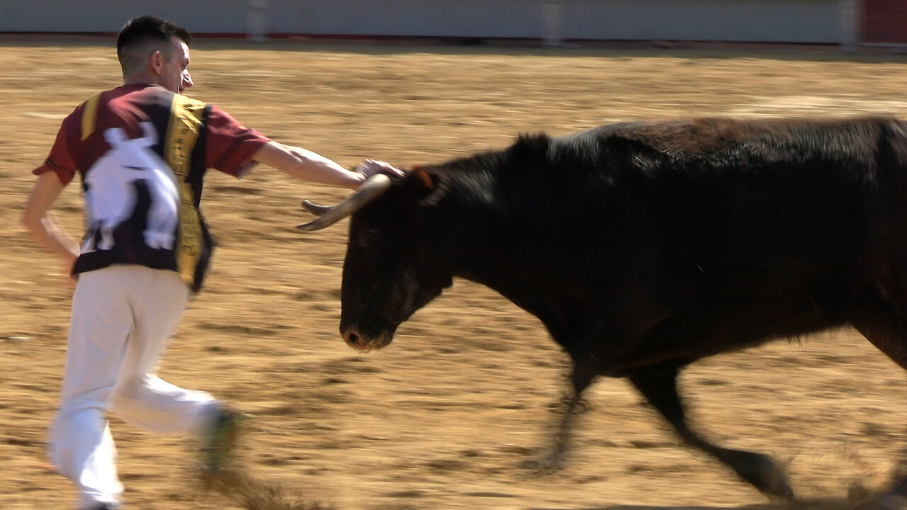 2025 02 16 LA VALL D'UIXÓ CONCURSO DE RECORTES