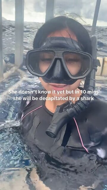 Got Decapitated by a shark 10 mins after this video!