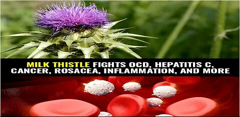"Milk Thistle: Fighting OCD, Hepatitis C, Cancer, and More"