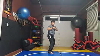 WTD 2 Step Kick Combination 65