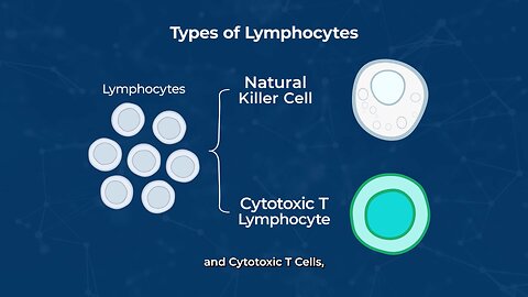 Lymphocyte-Activated Killer (LAK) Cell Therapy - ImPACT Program