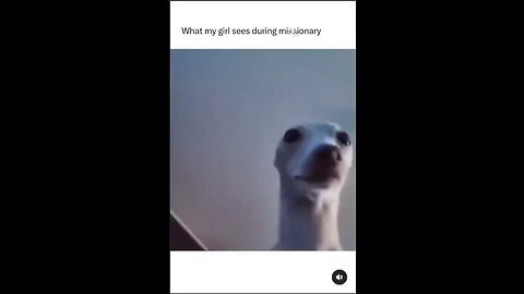 What my girl sees during missionary