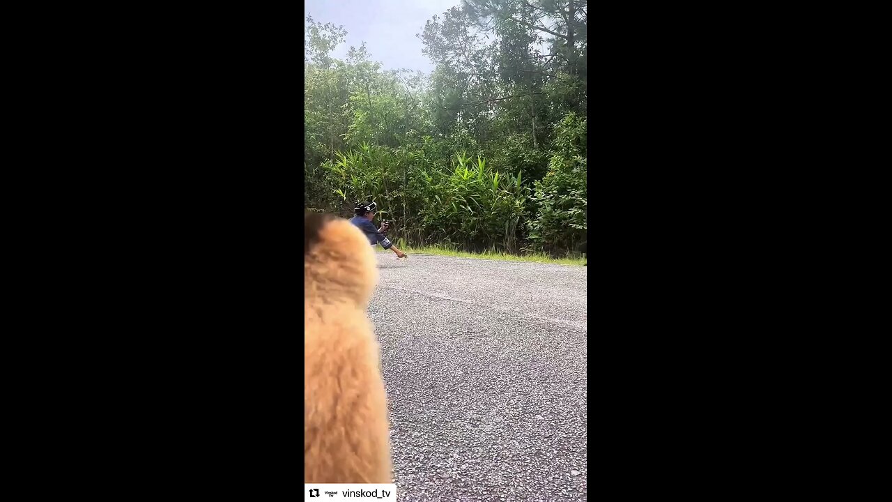 Do you agree, French is a beautiful language? Original content by @vinskod_tv Instagram, 9-13-25