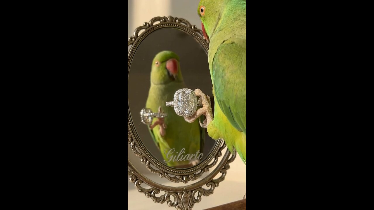 HAPPY TUESDAY EVERYONE 👇🔗