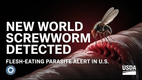New World Screwworm Detected in Human in U.S. | Flesh-Eating Parasite Alert