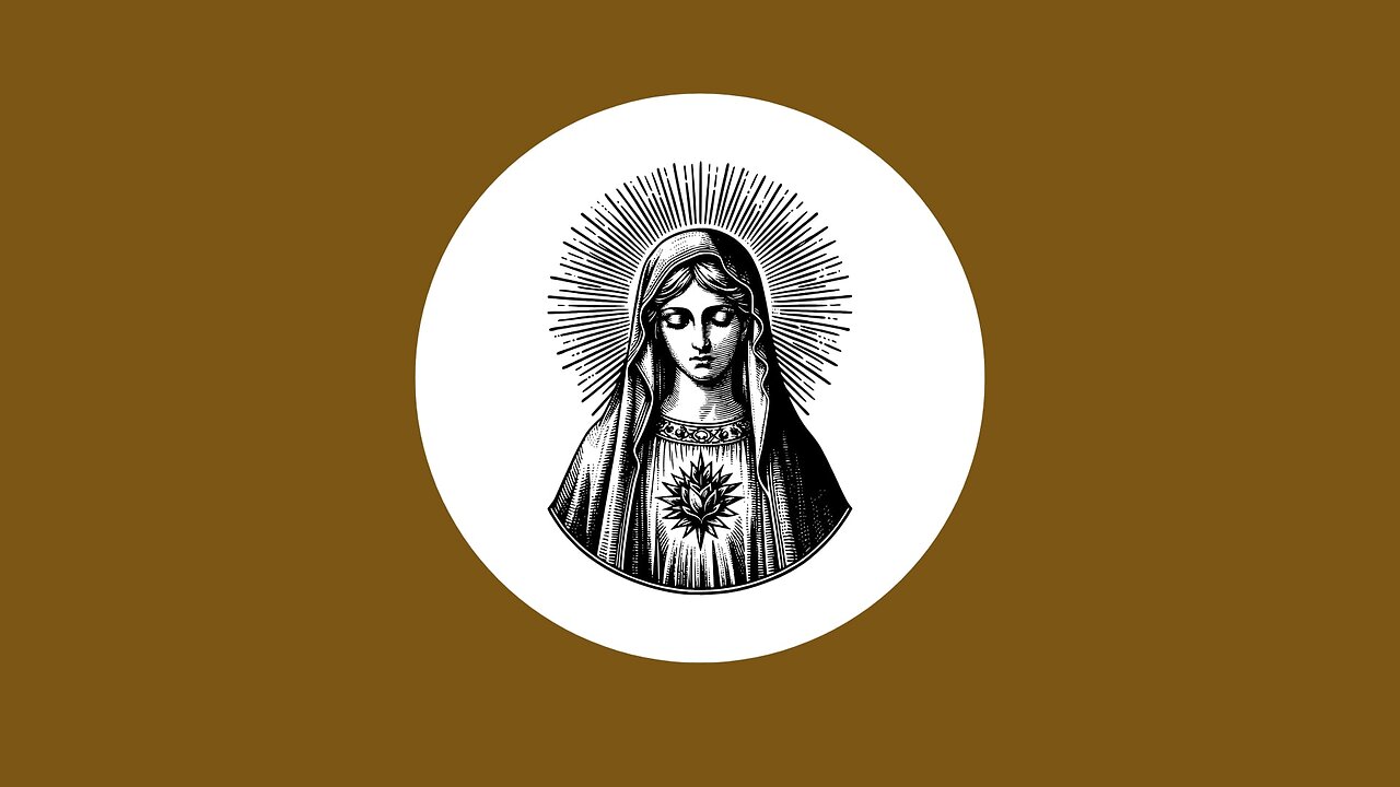 Q346 Can the brown scapular given by Our Lady be replaced by wearing the Miraculous Medal?