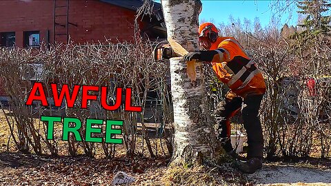 Every Limb Counts – One Wrong Cut, Major Damage