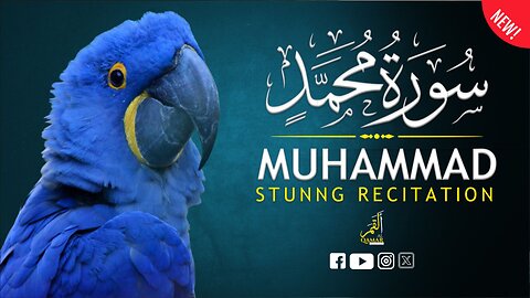 Surah Muhammad Full Recitation | Soothing Tilawat with English Translation | Al Qamar Production