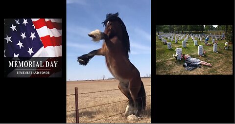 Sunday Live - Memorial Day 2025 - Lots Of Good Horsy Stuff & History Tips