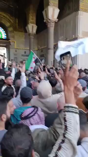 ❗️Pro-government and anti-Israel rallies continue in the Syrian