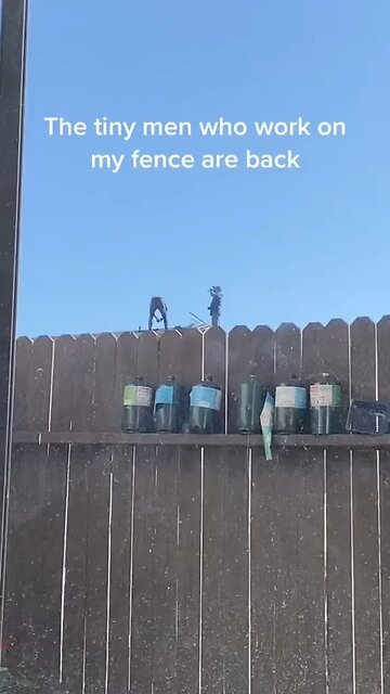 I wish they would come back