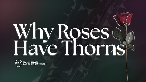 Why Roses Have Thorns | Pastor At Boshoff | 18 May 2025 AM