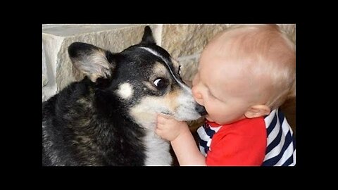 Super ridiculous BABY & TODDLER & KID videos #20 - Funny and cute compilation - Watch and laugh!