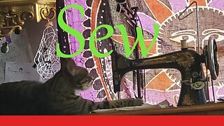 Sew Sunday || Stitch & B*