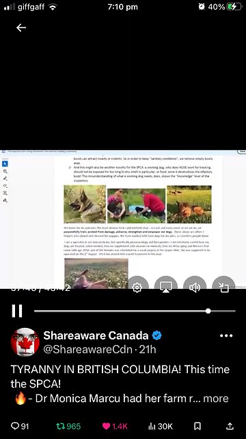 British Columbia : dog shelter