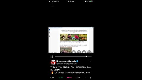 British Columbia : dog shelter