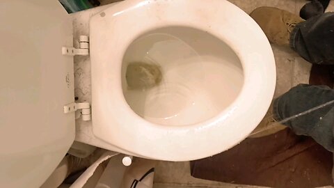 Just peeing
