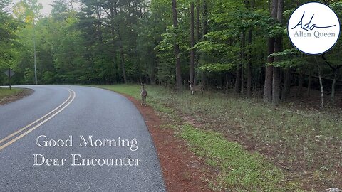 Ada Alien Queen • Ada Walks • Take # 00018 • Good Morning Dear Encounter