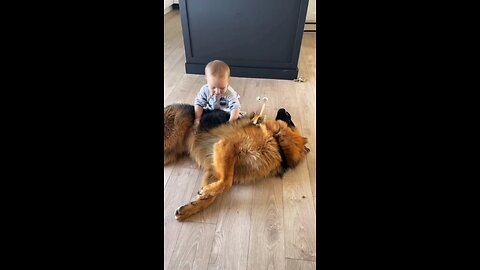 doggie love ♥️🐶#love #doggie #viral