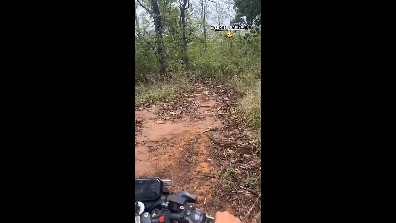 😂 Riding in the middle of the jungle 🏞️😂