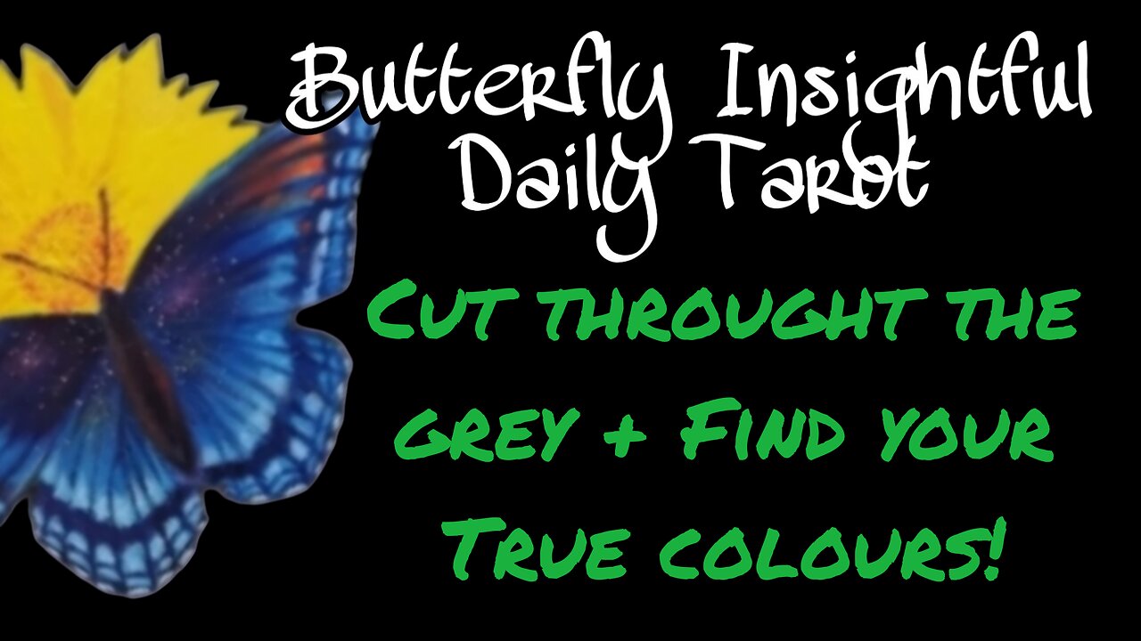 Butterfly Insightful Daily Tarot - Cut through the grey & find your colours!