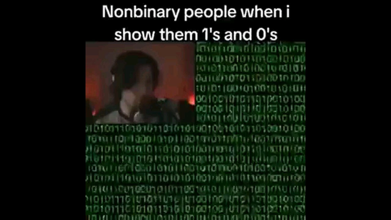 nonbirary people when I show then 1's and 0's