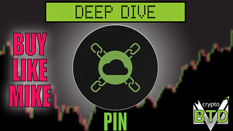 📢 Pinlink: Deep Dive [What is PIN?] Buy or pass?!
			