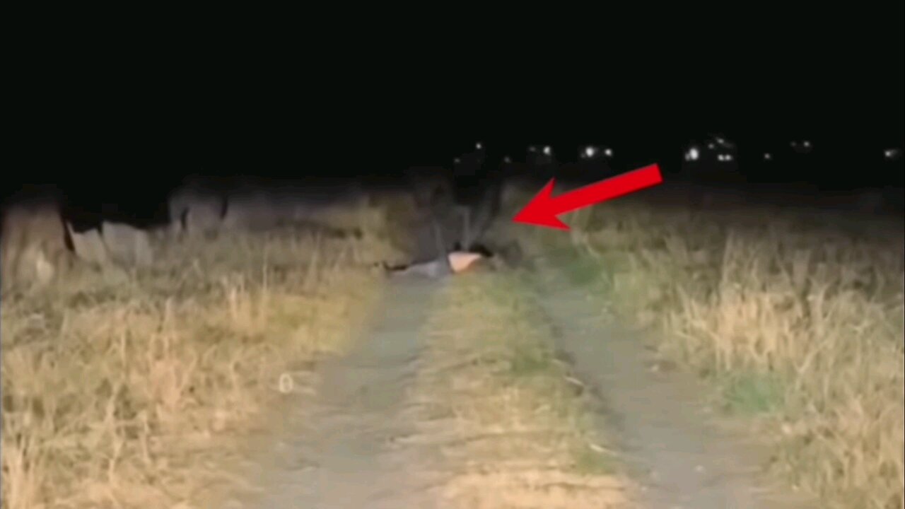 If These Creepy Encounters Were Not Filmed No One Would Have Believed It!