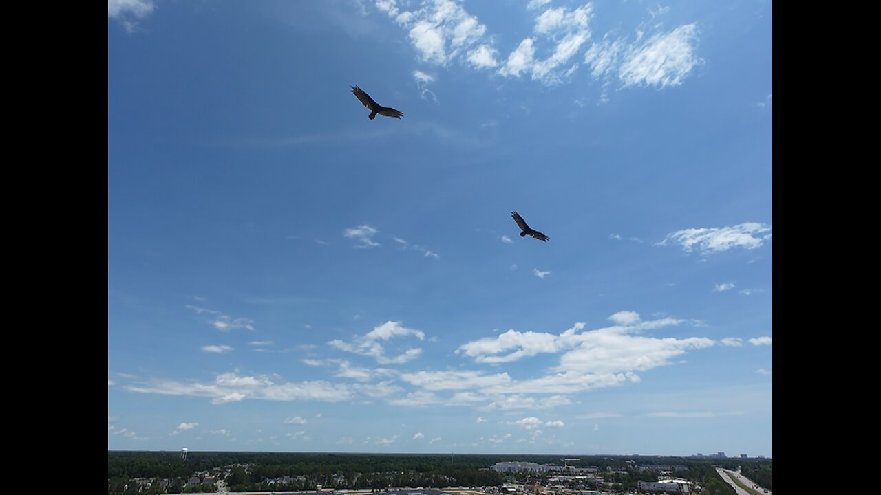🦅 I Just Want To Hang Around You - George Benson 🦅
