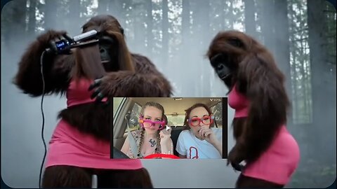where's my original stalkers are hiking