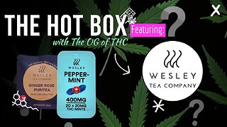 INFUSED TEA ☕, MINTS🍬 & COCOA🍫 | THE HOT BOX 🔥📦 - WESLEY'S TEA COMPANY